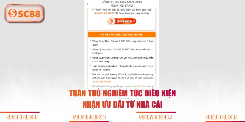 Tuân thủ nghiêm túc điều kiện nhận ưu đãi từ nhà cái
